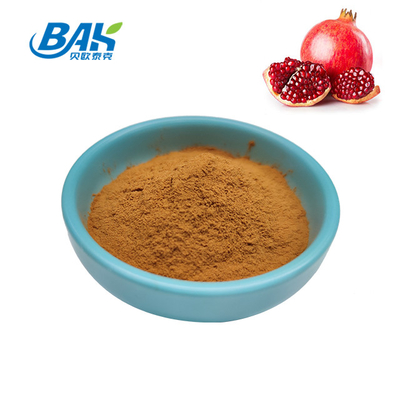 석류 껍질 추출물 천연 화장품 성분 Ellagic Acid