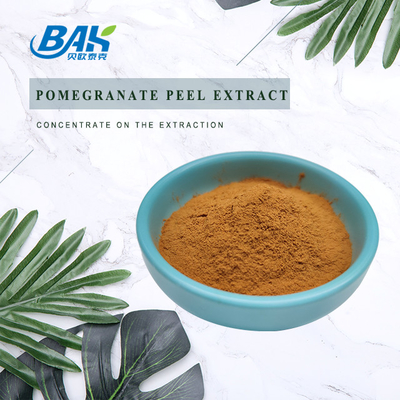 석류 껍질 추출물 천연 화장품 성분 Ellagic Acid