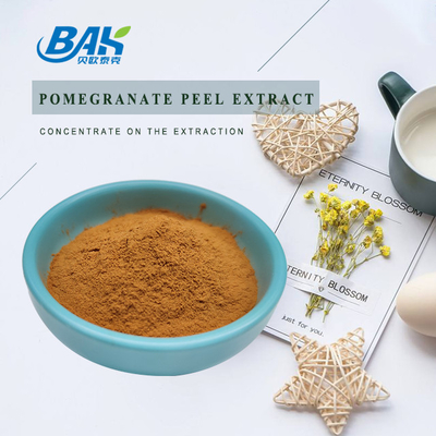 석류 껍질 추출물 천연 화장품 성분 Ellagic Acid