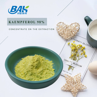 BAK 고품질 Cas 520-18-3 면역력 증진 보충제 케임페롤 분말 50% 90% 98%