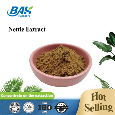 고품질의  Nettle leaf extract 1.2% silica 유기농 식품 등급  Nettle root extract Powder