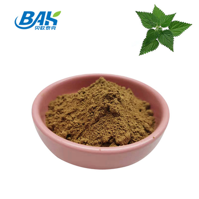 고품질의  Nettle leaf extract 1.2% silica 유기농 식품 등급  Nettle root extract Powder