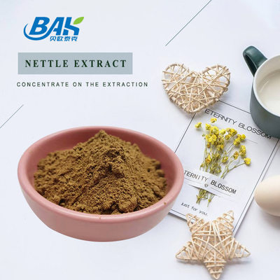 고품질의  Nettle leaf extract 1.2% silica 유기농 식품 등급  Nettle root extract Powder