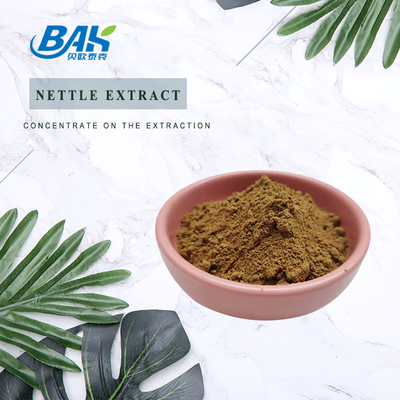 고품질의  Nettle leaf extract 1.2% silica 유기농 식품 등급  Nettle root extract Powder
