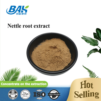 고품질의  Nettle leaf extract 1.2% silica 유기농 식품 등급  Nettle root extract Powder
