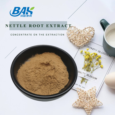 고품질의  Nettle leaf extract 1.2% silica 유기농 식품 등급  Nettle root extract Powder