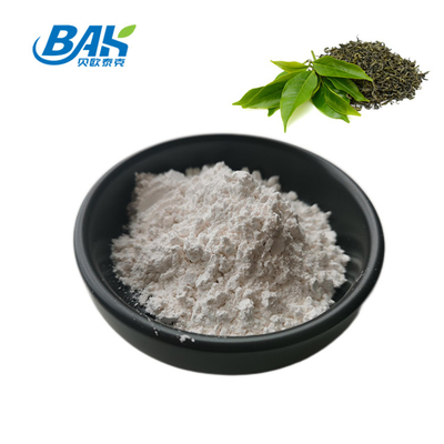 CAS NO 3081-61-6 건강한 식단을 위한 천연 약초 추출물 녹차 추출물 분말 테아닌 98% 분말