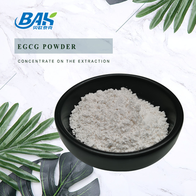 초록차 추출물 EGCG CAS NO 989-51-5 에피갈로카테신 갈라트 98% 흰색 분말