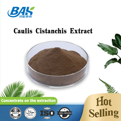 식품품 Caulis Cistanchis 추출물 식물 추출물 분말