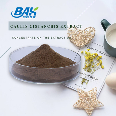 식품품 Caulis Cistanchis 추출물 식물 추출물 분말