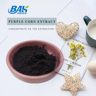 BAK 공장 도매 안토시아닌 35% Zea Mays 보라색 옥수수 추출물 어두운 보라색 분말