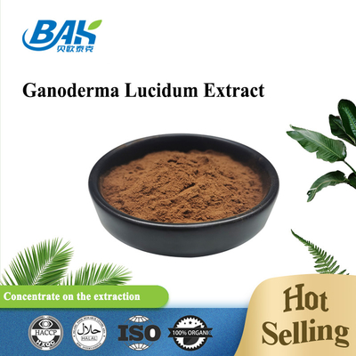 Mens 건강 보충교재 다당류 30% Ganoderma Lucidum 추출물