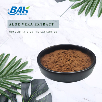 다당류 간 보호 보조제 Reishi Mushroom Extract Powder