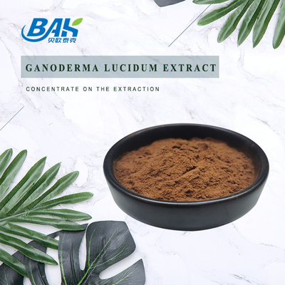 Mens 건강 보충교재 다당류 30% Ganoderma Lucidum 추출물