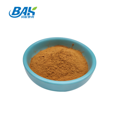유기농 Coriolus Versicolor 버섯 추출물 보충제 갈색 노란색 분말