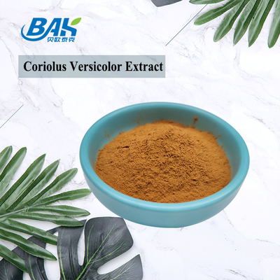 유기농 Coriolus Versicolor 버섯 추출물 보충제 갈색 노란색 분말
