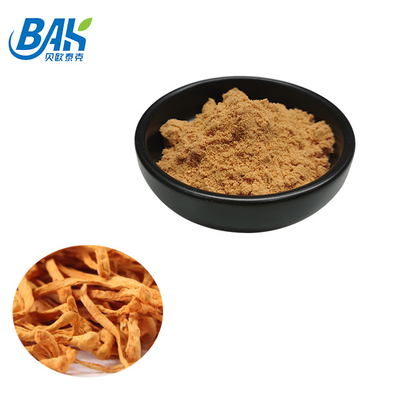 80~120 Mesh Cordyceps Militaris 추출 분말 공장 공급