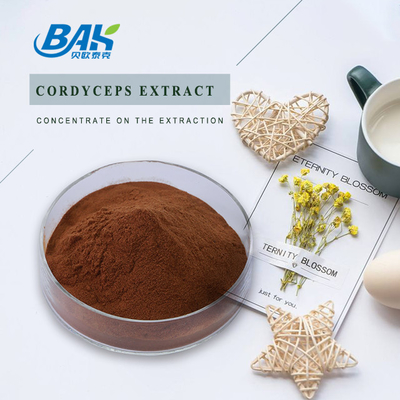 Cordycepin 5% 10% 20% Mens 건강 보충교재 동충하초 추출물 갈색 분말