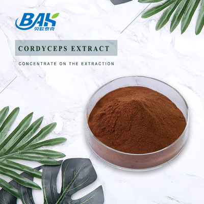 Cordycepin 5% 10% 20% Mens 건강 보충교재 동충하초 추출물 갈색 분말
