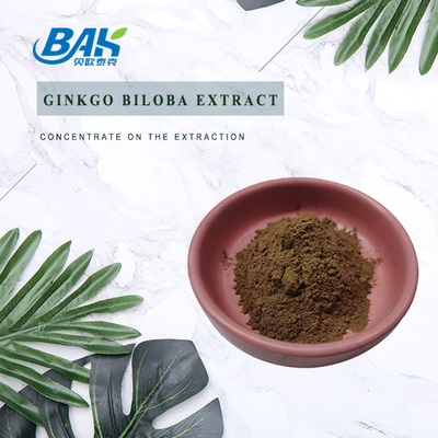CAS 90045-36-6 진코 빌로바 추출물 플라본 글리코사이드 24% 테르펜 랙토리 6%