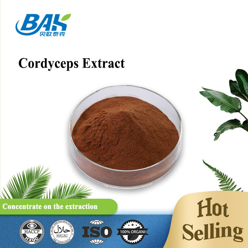 Cordycepin 5% 10% 20% Mens 건강 보충교재 동충하초 추출물 갈색 분말
